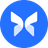 Morpho Blue